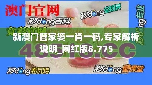 新澳门管家婆一肖一码,专家解析说明_网红版8.775