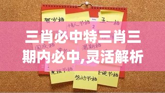 三肖必中特三肖三期内必中,灵活解析设计_免费版1.340