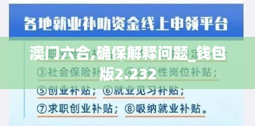澳门六合,确保解释问题_钱包版2.232