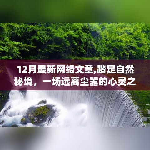 草草了事 第4页