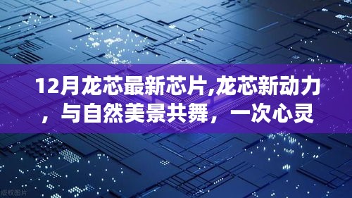 容光焕发 第4页