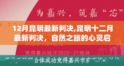 昆明最新判决背后的自然之旅心灵启示录
