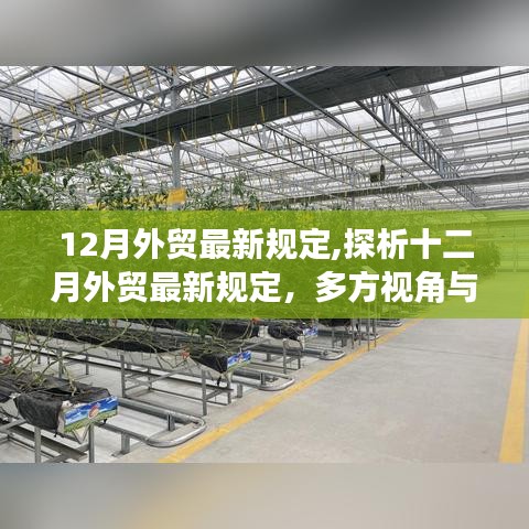 十二月外贸最新规定深度解析，多方视角与影响展望
