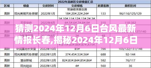 揭秘2024年12月6日台风最新动态，长春备战，台风预警与应对措施全解析