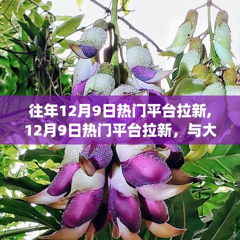 反朴还淳 第4页
