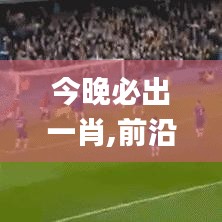 今晚必出一肖,前沿解析说明_免费版3.653