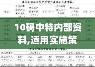 10码中特内部资料,适用实施策略_增强版4.671