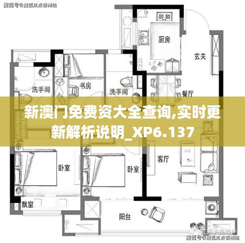 新澳门免费资大全查询,实时更新解析说明_XP6.137