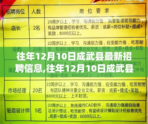 犯而不校 第4页