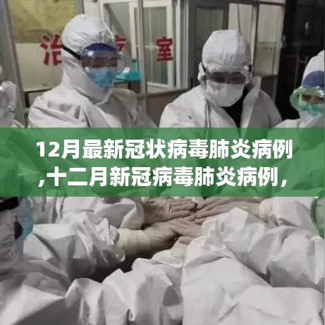一张一弛 第3页