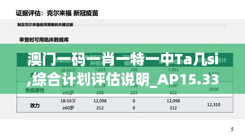 综合计划评估说明