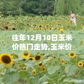 瑞雪飞舞 第3页