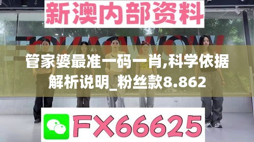 粉丝款