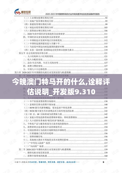 今晚澳门特马开的什么,诠释评估说明_开发版9.310