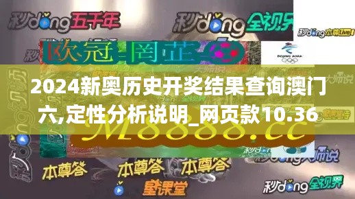 定性分析说明