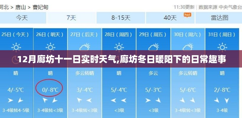 廊坊十二月份十一日实时天气，冬日暖阳下的日常趣事