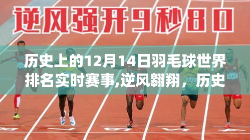 历史上的羽毛球巅峰对决，逆风翱翔背后的故事，回顾十二月十四日世界排名实时赛事