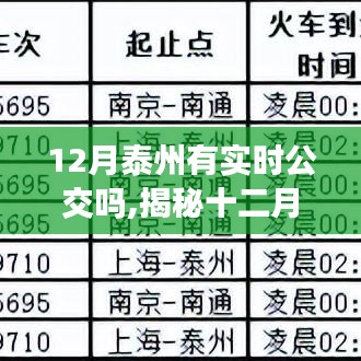 揭秘十二月泰州实时公交系统，便捷出行，实时掌握