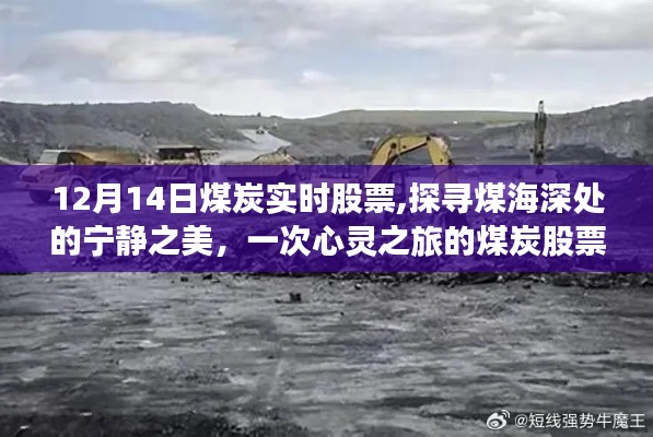 关于我们 第218页