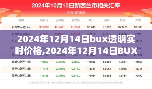 高人雅士 第4页