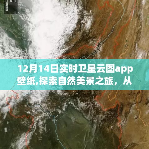池鱼笼鸟 第2页
