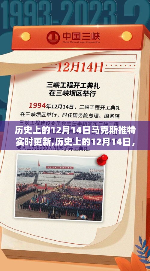 服务流程 第217页