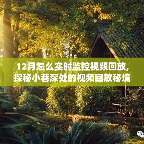 探秘小巷深处的视频回放秘境，揭秘十二月实时监控新体验