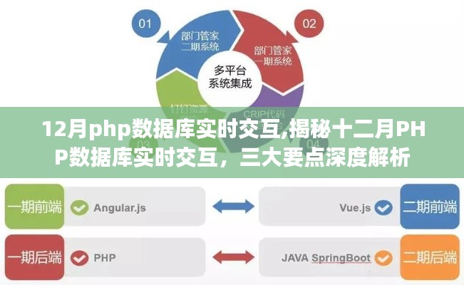 揭秘十二月PHP数据库实时交互深度解析，三大要点一网打尽
