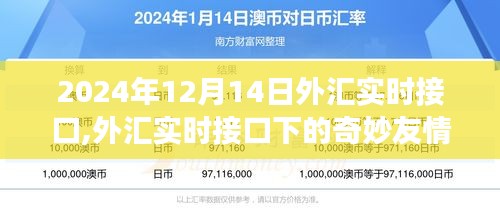 外汇实时接口下的友情故事，温馨时光在2024年12月14日