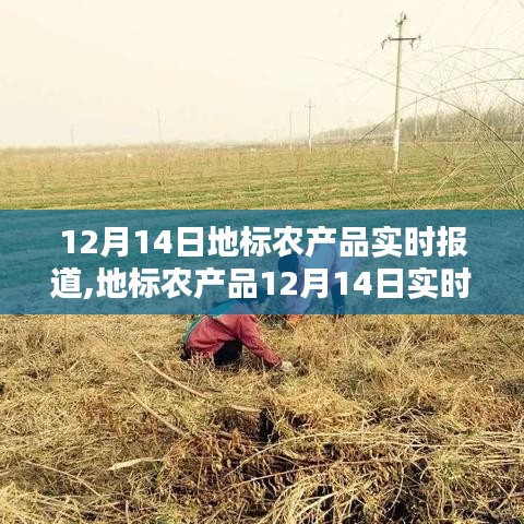 张弛不定 第3页