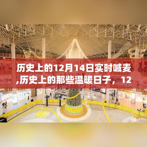新闻动态 第206页