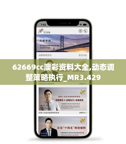 62669cc澳彩资料大全,动态调整策略执行_MR3.429
