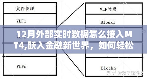 金融新世界探索，十二月MT4实时数据接入方法与策略