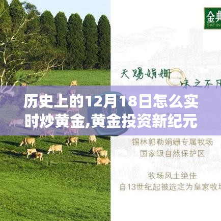 黄金投资新纪元，科技引领下的实时交易体验与黄金市场走势解析（12月18日篇）