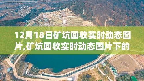 腾龙换鸟 第3页