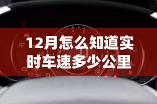 草间求活 第2页