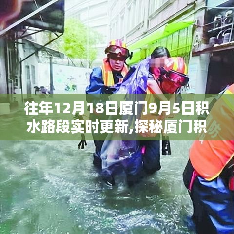 富贵不淫 第3页