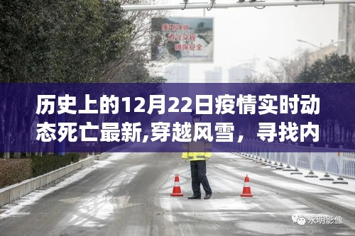 小心翼翼 第3页
