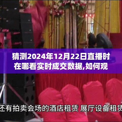 2024年12月22日直播实时成交数据观看指南，如何在线获取详细步骤