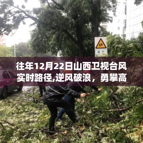 服务流程 第183页