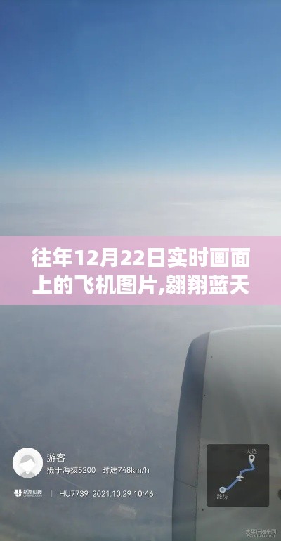 飞奇钩货 第3页