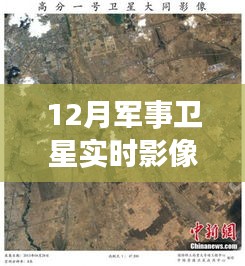 鸟惊鼠窜 第3页