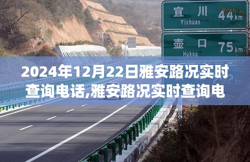雅安路况实时查询电话背后的励志故事，自信成就人生之路