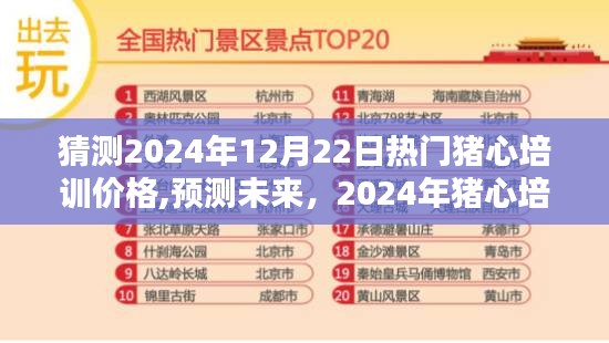 2024年猪心培训热门价格走势分析与预测