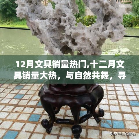 十二月文具销量飙升，与自然共舞的心灵之旅