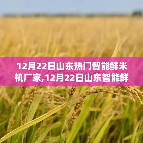 山东智能鲜米机厂家励志之旅，学习变化，自信铸就未来成功之路