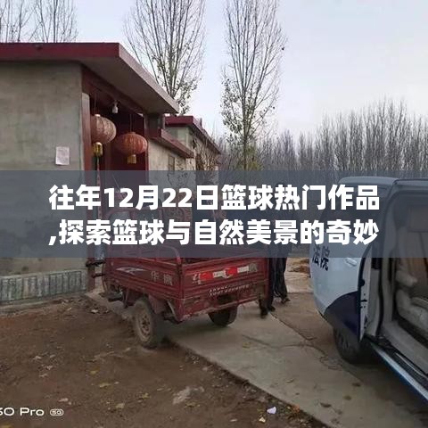 篮球与自然美景的奇妙之旅，鼓舞人心的冬日征途探索回顾