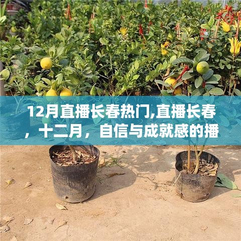 物以稀为贵 第2页