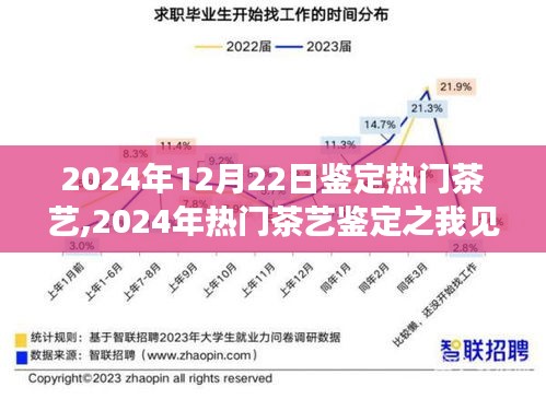 2024年热门茶艺鉴定深度解析，我的见解与体验