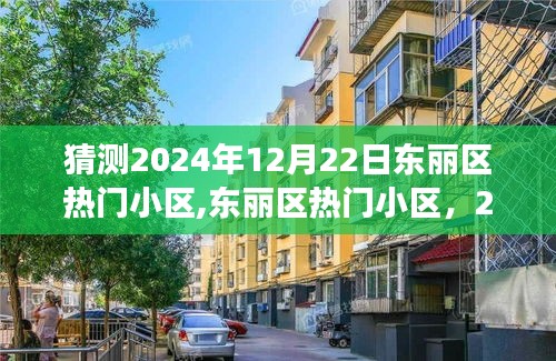 东丽区热门小区展望与回顾，预测2024年12月22日的趋势与变化